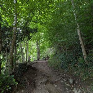 img/2025-07-16_09-14-20.jpg