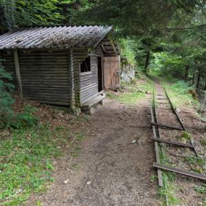img/2025-07-16_11-04-38.jpg