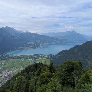 img/2025-07-16_11-54-18.jpg
