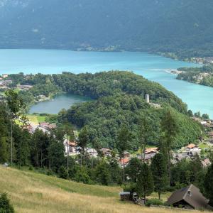 img/2025-07-16_15-05-22.jpg