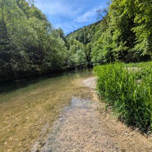 img/2026-05-17_12-25-18.jpg