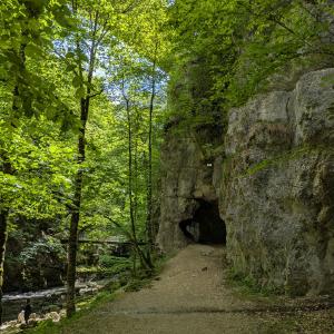 img/2026-05-17_12-36-17.jpg
