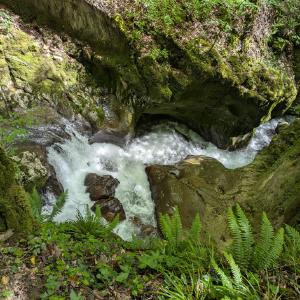 img/2026-05-17_13-00-12.jpg