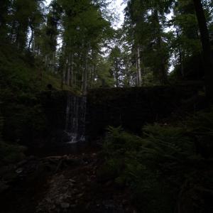 img/2023-06-08_10-43-43.jpg