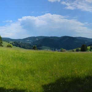 img/2023-06-08_11-46-51.jpg