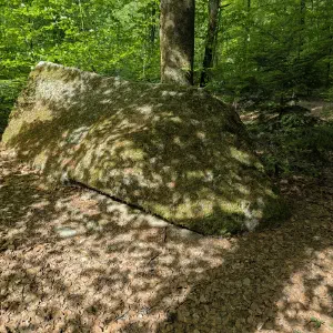 img/2026-04-26_11-26.webp