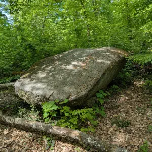 img/2026-04-26_12-31.webp