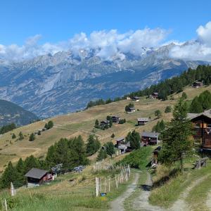 img/2025-07-22_11-24-21.jpg