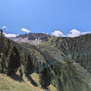 img/2025-07-22_12-09-17.jpg