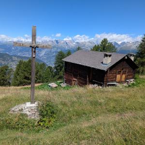 img/2025-07-22_12-19-40.jpg