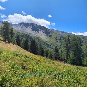 img/2025-07-22_12-53-24.jpg