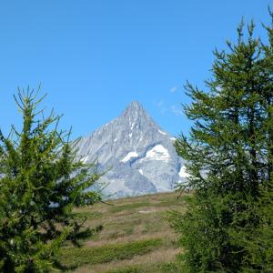 img/2025-07-22_14-28-20.jpg