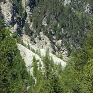 img/2025-08-24_12-31.webp