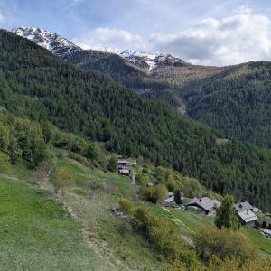 img/2026-05-09_16-50-25.jpg
