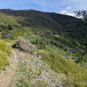 img/2026-05-09_16-54-24.jpg